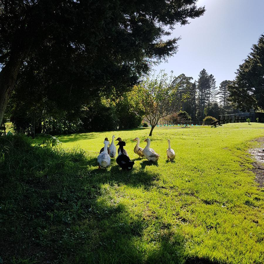 Poripori Homestead 타우랑가 외부 사진